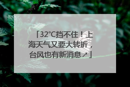 32℃挡不住！上海天气又要大转折，台风也有新消息↗