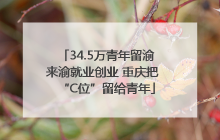 34.5万青年留渝来渝就业创业 重庆把“C位”留给青年
