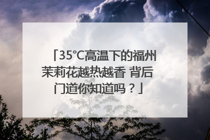 35℃高温下的福州茉莉花越热越香 背后门道你知道吗？