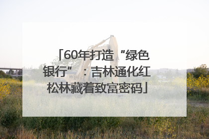 60年打造“绿色银行”：吉林通化红松林藏着致富密码