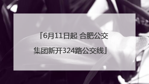 6月11日起 合肥公交集团新开324路公交线