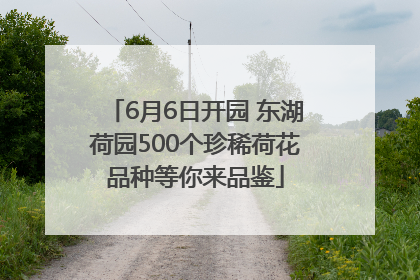 6月6日开园 东湖荷园500个珍稀荷花品种等你来品鉴