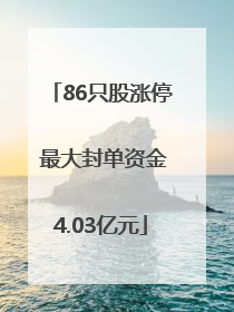 86只股涨停 最大封单资金4.03亿元