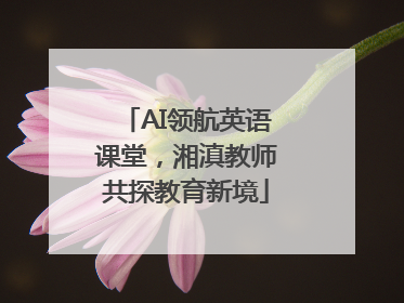 AI领航英语课堂，湘滇教师共探教育新境