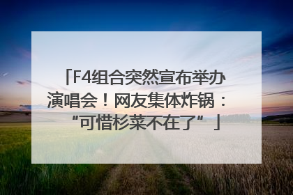 F4组合突然宣布举办演唱会！网友集体炸锅：“可惜杉菜不在了”