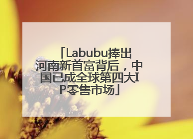 Labubu捧出河南新首富背后，中国已成全球第四大IP零售市场
