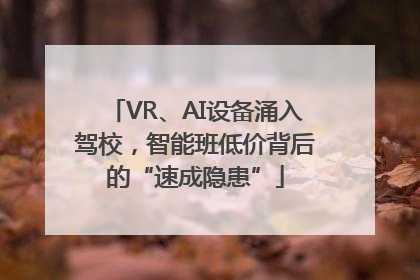 VR、AI设备涌入驾校，智能班低价背后的“速成隐患”